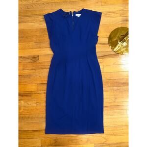 Calvin Klein Sapphire Sheath Dress L
